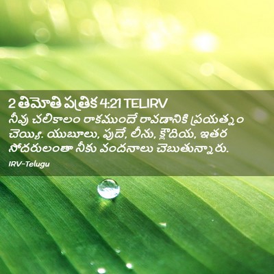 Picture 02 - 2 తిమోతి పత్రిక 4:21 TELIRV - నీవు చలికాలం - Bible Verse Picture