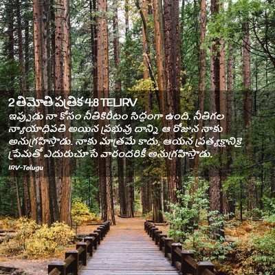 Picture 02 - 2 తిమోతి పత్రిక 4:8 TELIRV - ఇప్పుడు నా కోసం - Bible Verse Picture