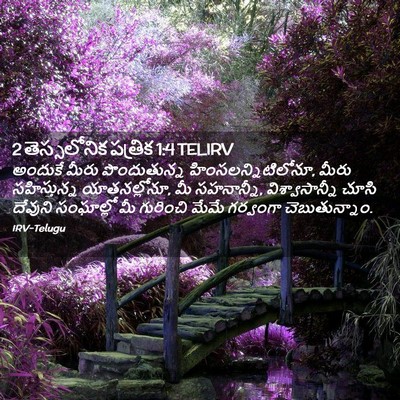 Picture 02 - 2 తెస్సలోనిక పత్రిక 1:4 TELIRV - అందుకే మీరు - Bible Verse Picture