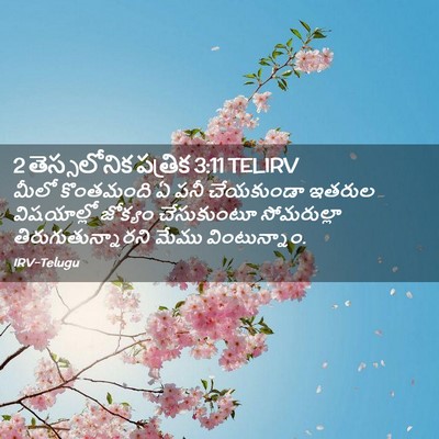 Picture 02 - 2 తెస్సలోనిక పత్రిక 3:11 TELIRV - మీలో కొంతమంది ఏ - Bible Verse Picture