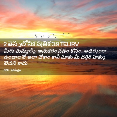 Picture 02 - 2 తెస్సలోనిక పత్రిక 3:9 TELIRV - మీరు మమ్మల్ని - Bible Verse Picture