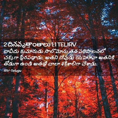 Picture 02 - 2 దినవృత్తాంతాలు 1:1 TELIRV - దావీదు కుమారుడు - Bible Verse Picture