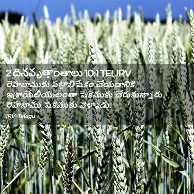Picture 02 - 2 దినవృత్తాంతాలు 10:1 TELIRV - రెహబాముకు - Bible Verse Picture