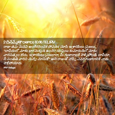 Picture 02 - 2 దినవృత్తాంతాలు 10:16 TELIRV - రాజు తమ మనవి - Bible Verse Picture