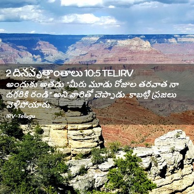 Picture 02 - 2 దినవృత్తాంతాలు 10:5 TELIRV - అందుకు అతడు “మీరు - Bible Verse Picture