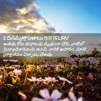 Picture 02 - 2 దినవృత్తాంతాలు 11:11 TELIRV - అతడు కోట - Bible Verse Picture