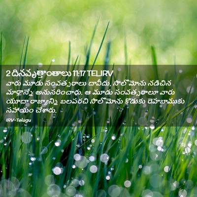 Picture 02 - 2 దినవృత్తాంతాలు 11:17 TELIRV - వారు మూడు - Bible Verse Picture