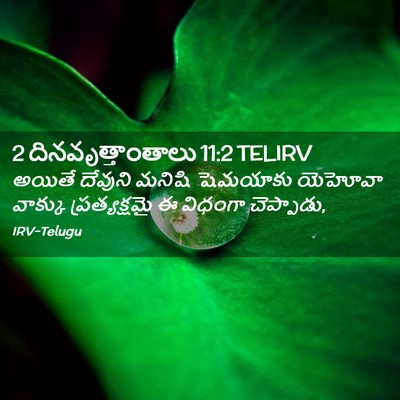 Picture 02 - 2 దినవృత్తాంతాలు 11:2 TELIRV - అయితే దేవుని - Bible Verse Picture