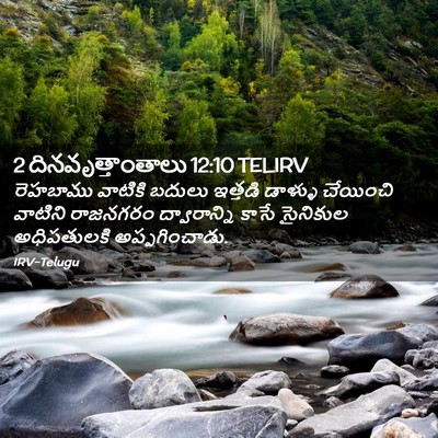 Picture 02 - 2 దినవృత్తాంతాలు 12:10 TELIRV - రెహబాము వాటికి - Bible Verse Picture