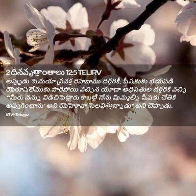 Picture 02 - 2 దినవృత్తాంతాలు 12:5 TELIRV - అప్పుడు షెమయా - Bible Verse Picture