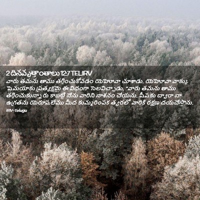 Picture 02 - 2 దినవృత్తాంతాలు 12:7 TELIRV - వారు తమను తాము - Bible Verse Picture