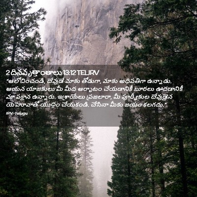 Picture 02 - 2 దినవృత్తాంతాలు 13:12 TELIRV - “ఆలోచించండి, - Bible Verse Picture