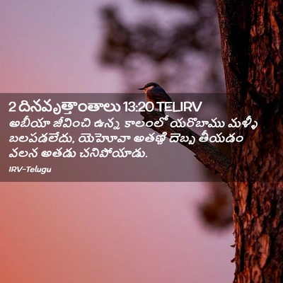 Picture 02 - 2 దినవృత్తాంతాలు 13:20 TELIRV - అబీయా జీవించి - Bible Verse Picture