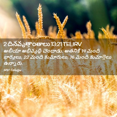 Picture 02 - 2 దినవృత్తాంతాలు 13:21 TELIRV - అబీయా అభివృద్ధి - Bible Verse Picture