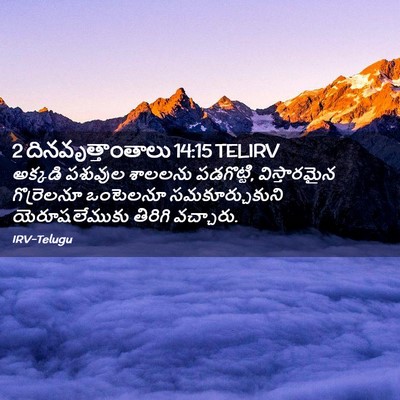 Picture 02 - 2 దినవృత్తాంతాలు 14:15 TELIRV - అక్కడి పశువుల - Bible Verse Picture