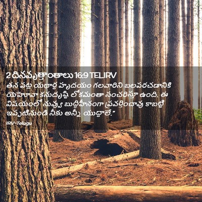 Picture 02 - 2 దినవృత్తాంతాలు 16:9 TELIRV - తన పట్ల యథార్థ - Bible Verse Picture