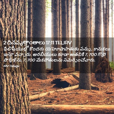 Picture 02 - 2 దినవృత్తాంతాలు 17:11 TELIRV - ఫిలిష్తీయుల్లో - Bible Verse Picture
