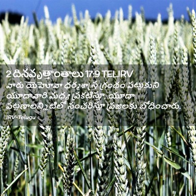 Picture 02 - 2 దినవృత్తాంతాలు 17:9 TELIRV - వారు యెహోవా - Bible Verse Picture