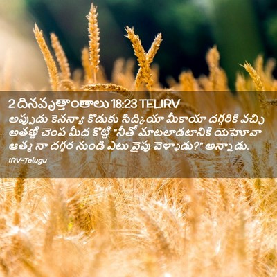 Picture 02 - 2 దినవృత్తాంతాలు 18:23 TELIRV - అప్పుడు కెనన్యా - Bible Verse Picture