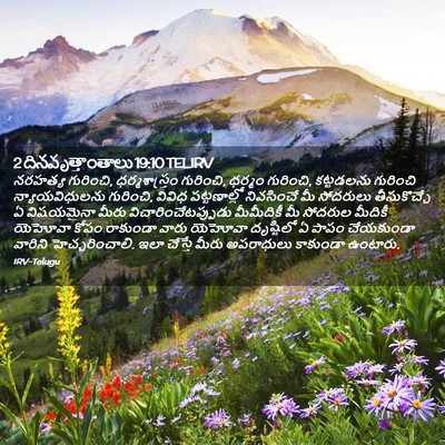 Picture 02 - 2 దినవృత్తాంతాలు 19:10 TELIRV - నరహత్య గురించి, - Bible Verse Picture