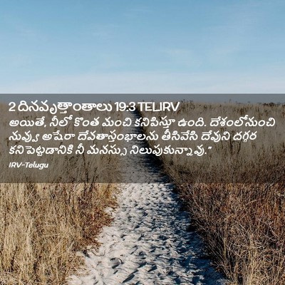Picture 02 - 2 దినవృత్తాంతాలు 19:3 TELIRV - అయితే, నీలో కొంత - Bible Verse Picture