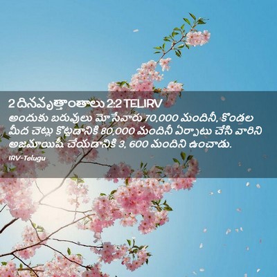 Picture 02 - 2 దినవృత్తాంతాలు 2:2 TELIRV - అందుకు బరువులు - Bible Verse Picture