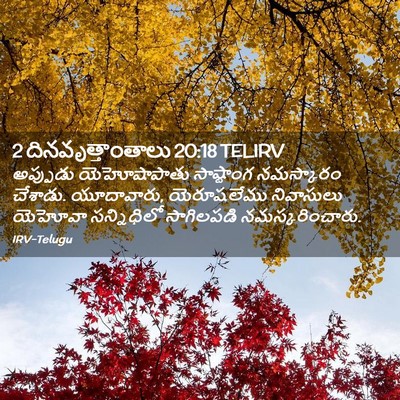 Picture 02 - 2 దినవృత్తాంతాలు 20:18 TELIRV - అప్పుడు - Bible Verse Picture