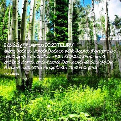 Picture 02 - 2 దినవృత్తాంతాలు 20:23 TELIRV - అమ్మోనీయులు, - Bible Verse Picture