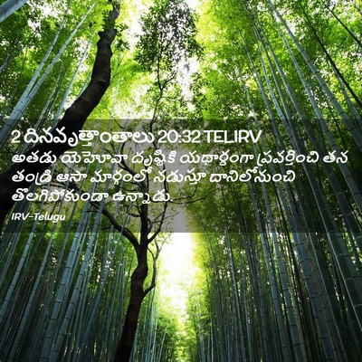 Picture 02 - 2 దినవృత్తాంతాలు 20:32 TELIRV - అతడు యెహోవా - Bible Verse Picture