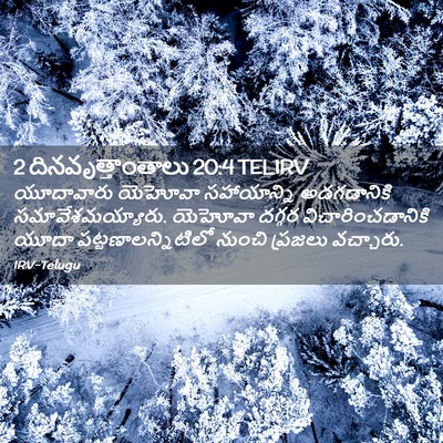 Picture 02 - 2 దినవృత్తాంతాలు 20:4 TELIRV - యూదావారు యెహోవా - Bible Verse Picture