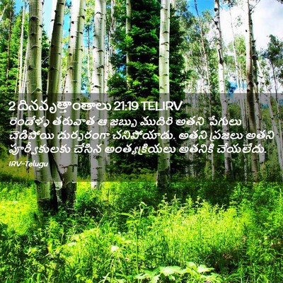 Picture 02 - 2 దినవృత్తాంతాలు 21:19 TELIRV - రెండేళ్ళ తరువాత ఆ - Bible Verse Picture