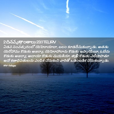 Picture 02 - 2 దినవృత్తాంతాలు 23:1 TELIRV - ఏడవ సంవత్సరంలో - Bible Verse Picture