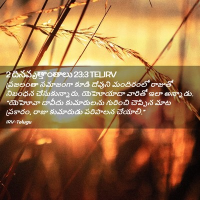 Picture 02 - 2 దినవృత్తాంతాలు 23:3 TELIRV - ప్రజలంతా సమాజంగా - Bible Verse Picture
