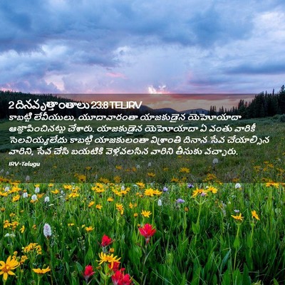 Picture 02 - 2 దినవృత్తాంతాలు 23:8 TELIRV - కాబట్టి లేవీయులు, - Bible Verse Picture