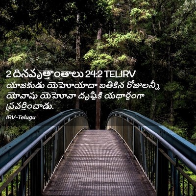 Picture 02 - 2 దినవృత్తాంతాలు 24:2 TELIRV - యాజకుడు యెహోయాదా - Bible Verse Picture