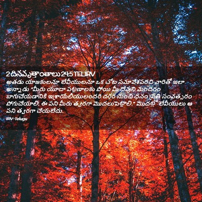 Picture 02 - 2 దినవృత్తాంతాలు 24:5 TELIRV - అతడు యాజకులనూ - Bible Verse Picture