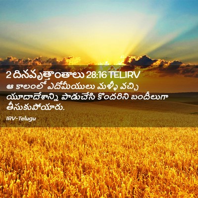 Picture 02 - 2 దినవృత్తాంతాలు 28:16 TELIRV - ఆ కాలంలో - Bible Verse Picture
