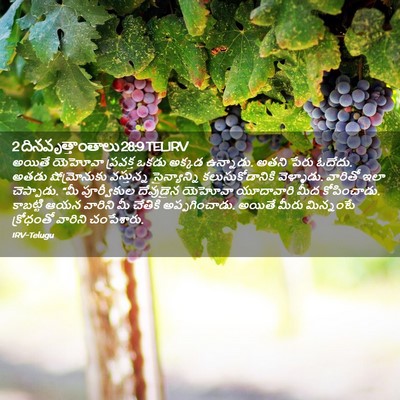 Picture 02 - 2 దినవృత్తాంతాలు 28:9 TELIRV - అయితే యెహోవా - Bible Verse Picture