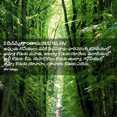 Picture 02 - 2 దినవృత్తాంతాలు 29:12 TELIRV - అప్పుడు లేవీయులు - Bible Verse Picture