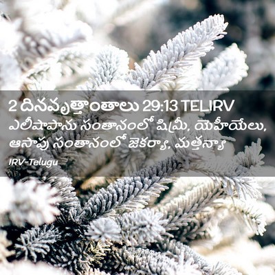Picture 02 - 2 దినవృత్తాంతాలు 29:13 TELIRV - ఎలీషాపాను - Bible Verse Picture