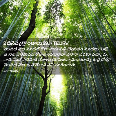 Picture 02 - 2 దినవృత్తాంతాలు 29:17 TELIRV - మొదటి నెల మొదటి - Bible Verse Picture