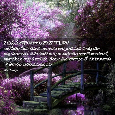 Picture 02 - 2 దినవృత్తాంతాలు 29:27 TELIRV - బలిపీఠం మీద - Bible Verse Picture