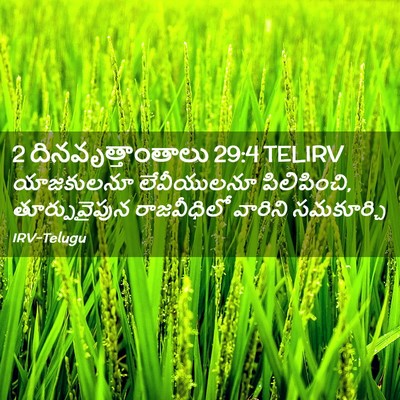 Picture 02 - 2 దినవృత్తాంతాలు 29:4 TELIRV - యాజకులనూ - Bible Verse Picture