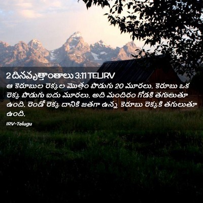 Picture 02 - 2 దినవృత్తాంతాలు 3:11 TELIRV - ఆ కెరూబుల రెక్కల - Bible Verse Picture