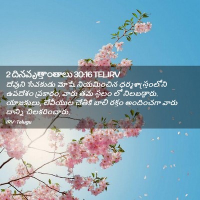Picture 02 - 2 దినవృత్తాంతాలు 30:16 TELIRV - దేవుని సేవకుడు - Bible Verse Picture