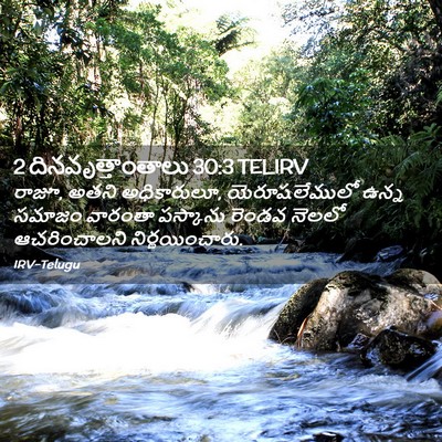 Picture 02 - 2 దినవృత్తాంతాలు 30:3 TELIRV - రాజూ, అతని - Bible Verse Picture