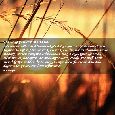 Picture 02 - 2 దినవృత్తాంతాలు 31:1 TELIRV - ఇదంతా అయిపోయిన - Bible Verse Picture
