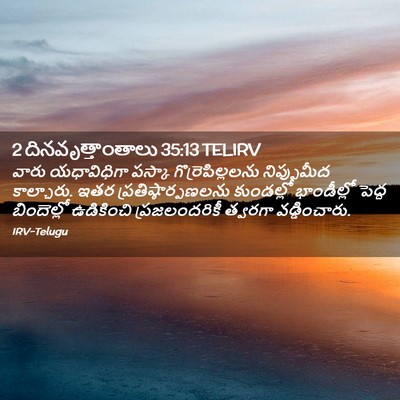 Picture 02 - 2 దినవృత్తాంతాలు 35:13 TELIRV - వారు యధావిధిగా - Bible Verse Picture