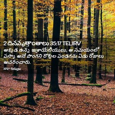 Picture 02 - 2 దినవృత్తాంతాలు 35:17 TELIRV - అక్కడ ఉన్న - Bible Verse Picture