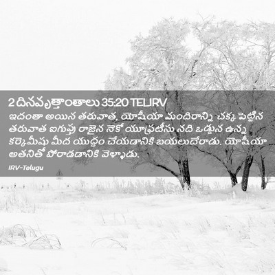 Picture 02 - 2 దినవృత్తాంతాలు 35:20 TELIRV - ఇదంతా అయిన తరువాత, - Bible Verse Picture